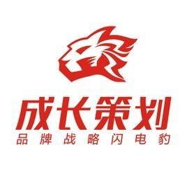 深圳成長品牌營銷顧問公司