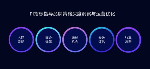 消費者資產運營新思路,品牌種草新指標